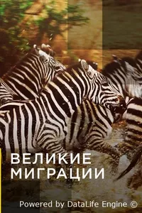 Великие миграции