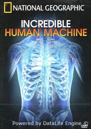 Невероятное тело человека