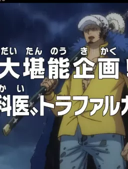 Ван-Пис: Кампания по прославлению! Хирург смерти Трафальгар Ло!