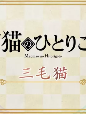 Монолог Маомао 2