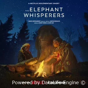 Заклинатели слонов