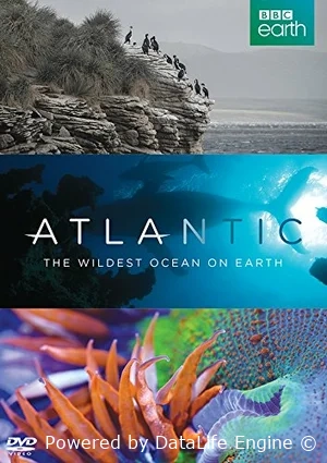 Атлантика: Самый необузданный океан на Земле
